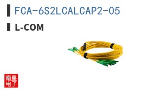 FCA-6S2LCALCAP2-05