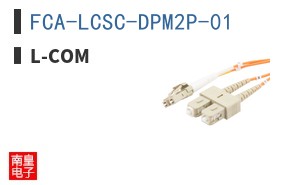 FCA-LCSC-DPM2P-01