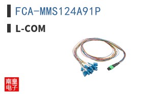 FCA-MMS124A91P