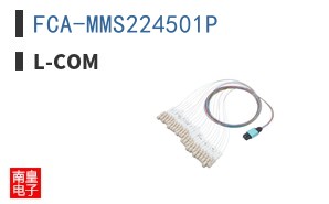 FCA-MMS224501P