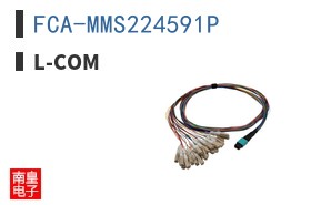 FCA-MMS224591P