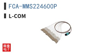 FCA-MMS224600P