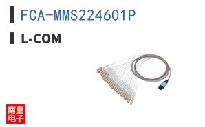 FCA-MMS224601P