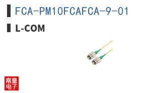FCA-PM10FCAFCA-9-01