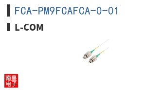 FCA-PM9FCAFCA-0-01