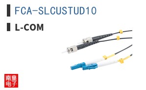 FCA-SLCUSTUD10