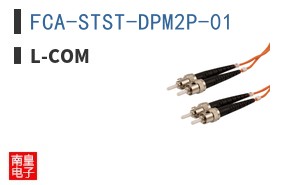 FCA-STST-DPM2P-01