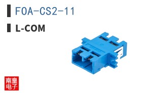 FOA-CS2-11