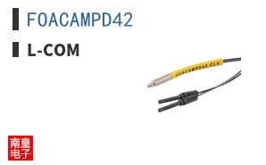 FOACAMPD42