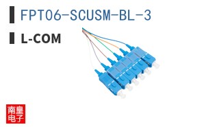 FPT06-SCUSM-BL-3