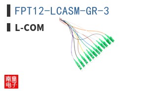 FPT12-LCASM-GR-3