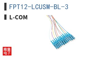 FPT12-LCUSM-BL-3