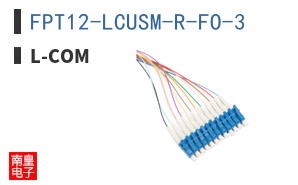 FPT12-LCUSM-R-FO-3