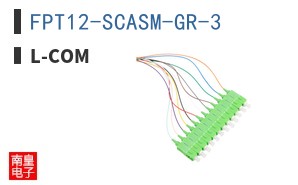 FPT12-SCASM-GR-3