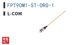 FPT9OM1-ST-ORG-1