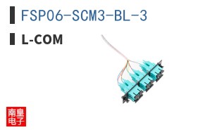 FSP06-SCM3-BL-3
