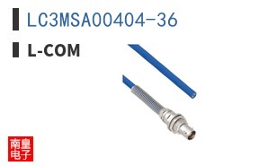 LC3MSA00404-36
