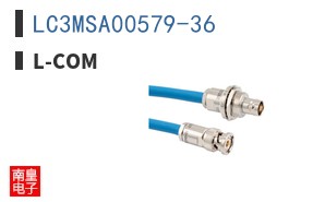 LC3MSA00579-36