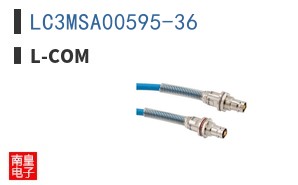 LC3MSA00595-36