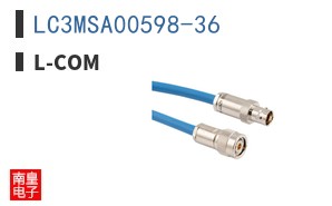 LC3MSA00598-36