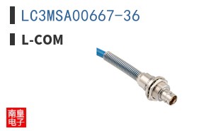 LC3MSA00667-36