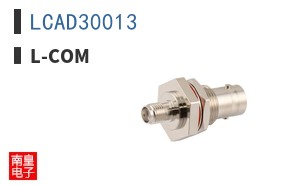 LCAD30013