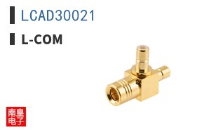 LCAD30021