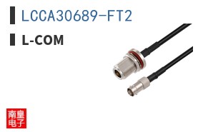 LCCA30689-FT2