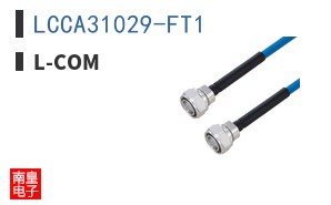 LCCA31029-FT1