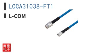LCCA31038-FT1