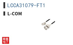 LCCA31079-FT1