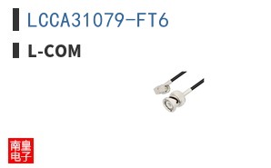 LCCA31079-FT6