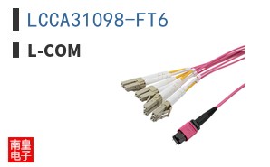 LCCA31098-FT6