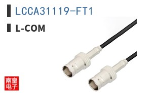 LCCA31119-FT1