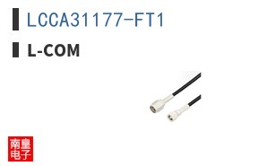 LCCA31177-FT1