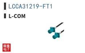 LCCA31219-FT1