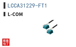 LCCA31229-FT1
