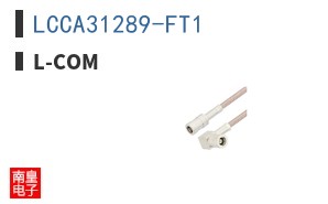 LCCA31289-FT1