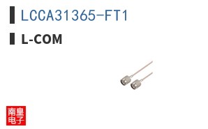 LCCA31365-FT1