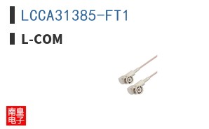 LCCA31385-FT1