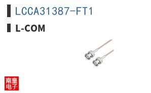 LCCA31387-FT1
