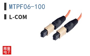 MTPF06-100