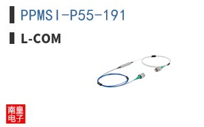 PPMSI-P55-191