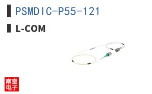 PSMDIC-P55-121