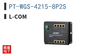 PT-WGS-4215-8P2S