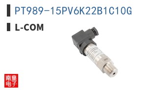 PT989-15PV6K22B1C10G