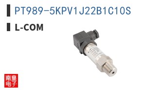 PT989-5KPV1J22B1C10S
