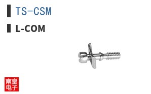 TS-CSM