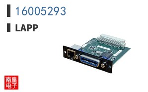 16005293