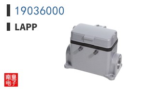 19036000